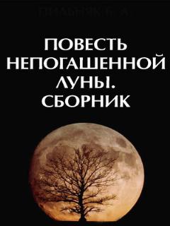 Постер: Повесть непогашенной луны