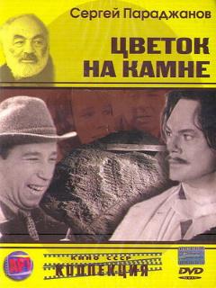 Постер: Цветок на камне