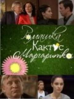 Постер: Ромашка, кактус, маргаритка