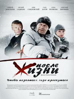 Постер: После жизни