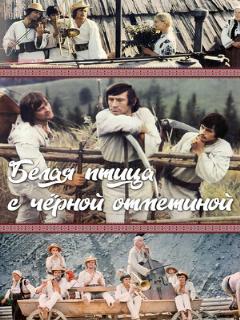 Постер: Белая птица с черной отметиной
