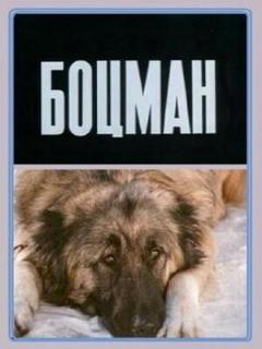 Постер фильма «Боцман»