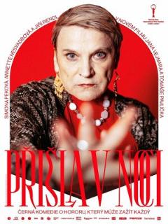 Постер: Prisla v noci