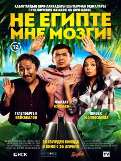 Постер: Не египте мне мозги!