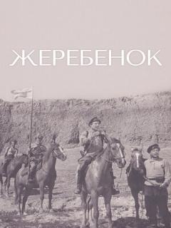 Постер: Жеребенок