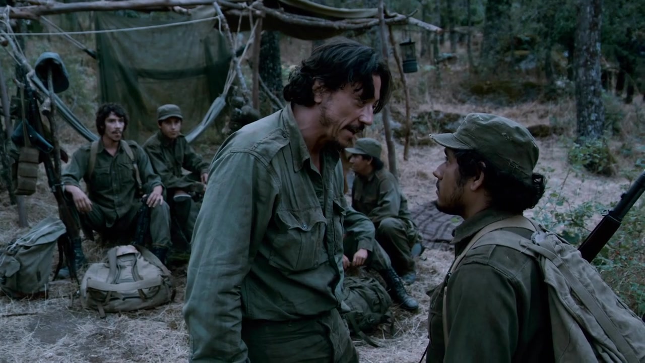 Che: Part Two película online en español