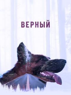 Постер: Верный