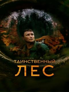Постер фильма «Таинственный лес»