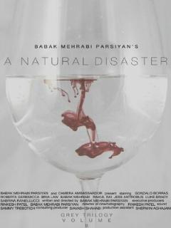Постер: A Natural Disaster