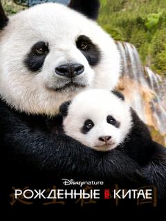 Постер: Рождённые в Китае