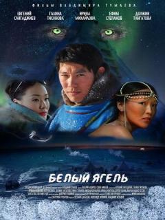 Постер: Белый ягель