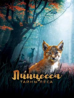 Постер: Линцесса. Тайны леса