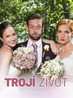 Постер: Тройная жизнь
