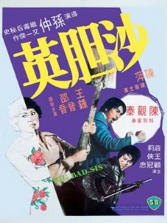 Постер: Sa dam ying