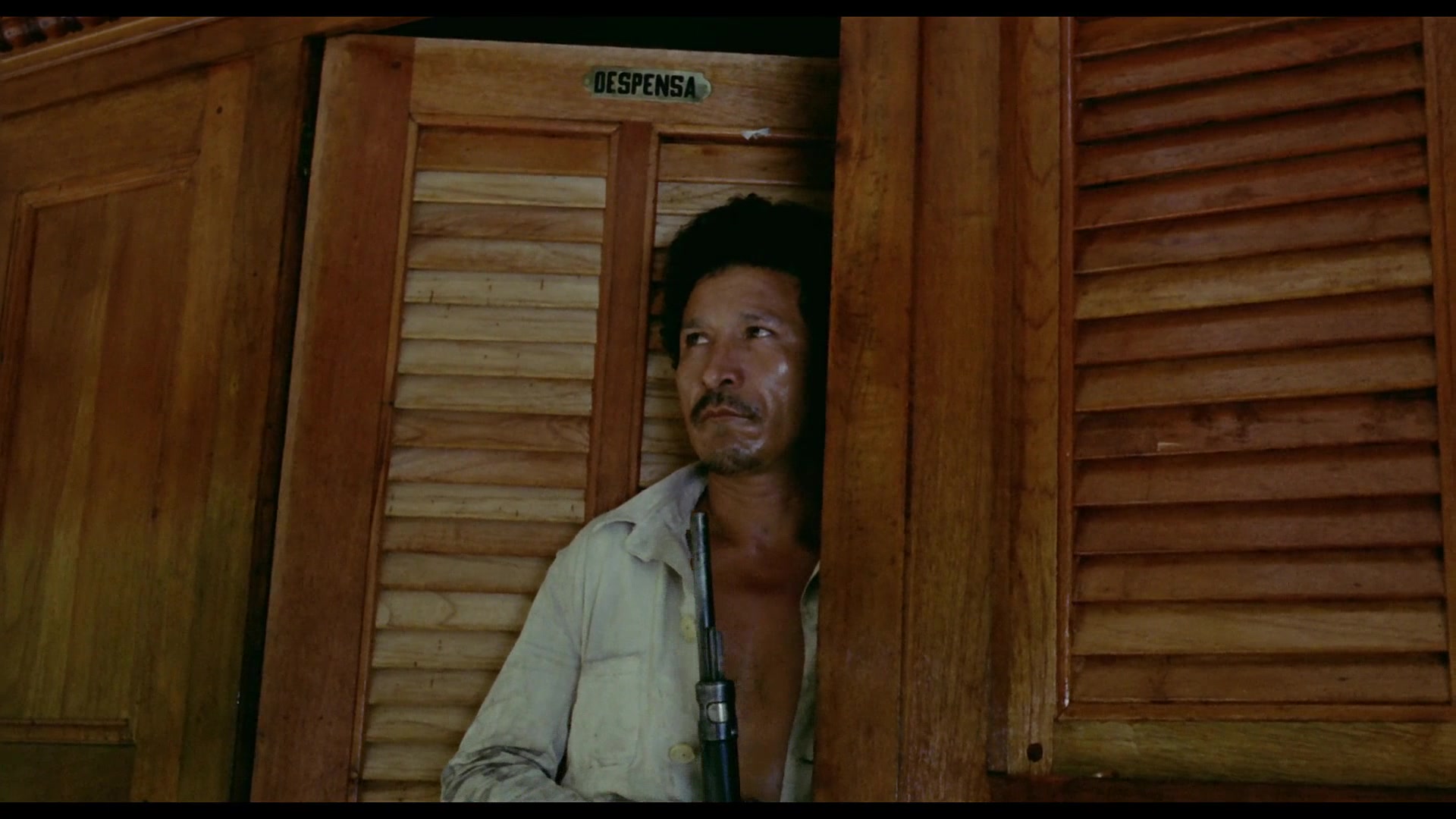 Fitzcarraldo película online en español