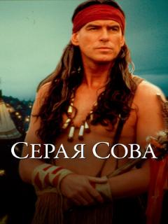 Постер: Серая сова