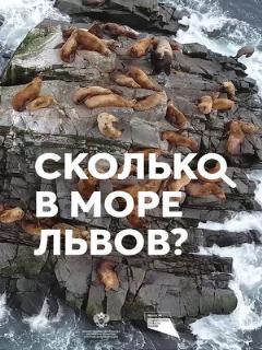 Постер: Сколько в море львов?