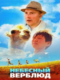 Постер: Небесный верблюд