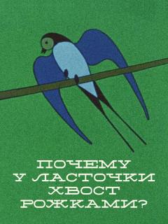 Постер: Почему у ласточки хвостик рожками