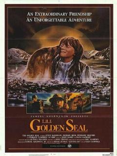 Золотой тюлень