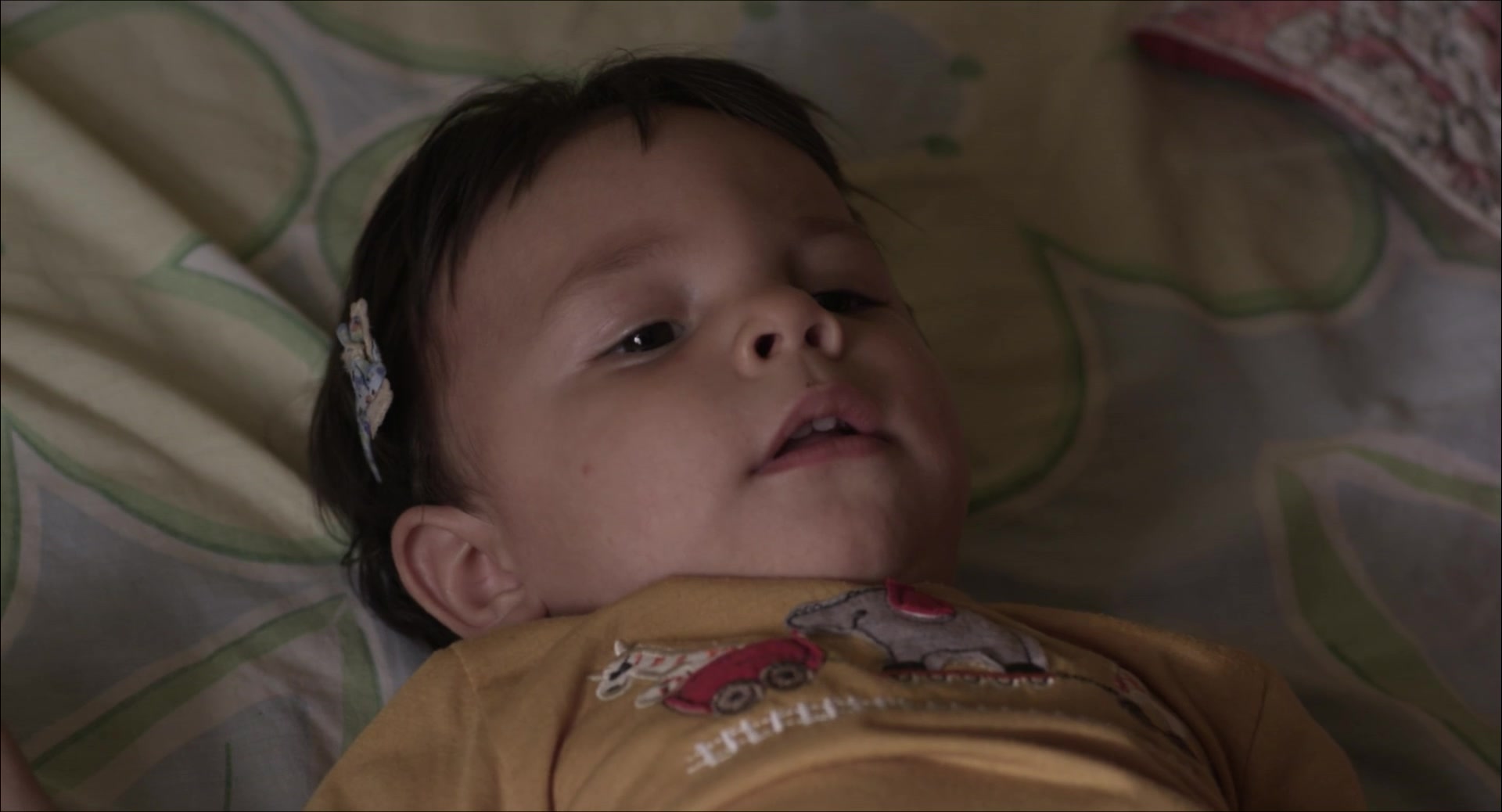 Pelo malo película online en español