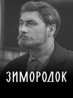 Постер: Зимородок