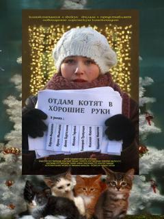 Постер: Отдам котят в хорошие руки