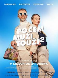 Постер: Po cem muzi touzí 2