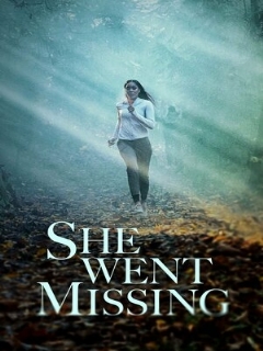 Постер: She Went Missing