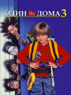 Постер: Один дома 3