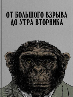 Постер: От Большого взрыва до утра вторника