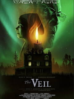Постер: The Veil