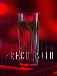Постер: Precognito