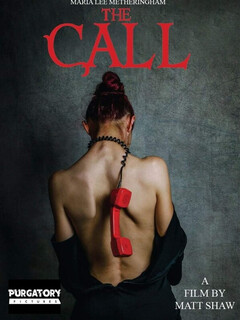 Постер: The Call