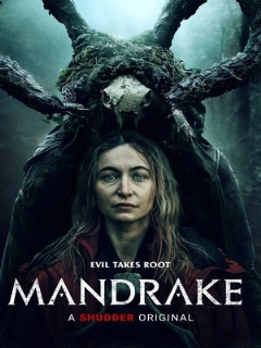 Постер: Мандрагора