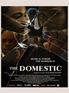 Постер: The Domestic