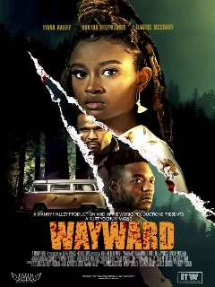 Постер: Wayward
