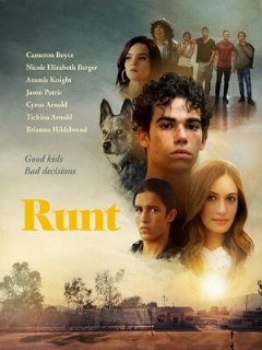 Постер: Runt