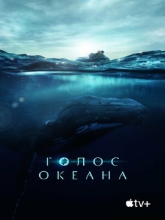 Постер: Голос океана