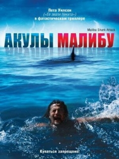 Постер: Акулы Малибу