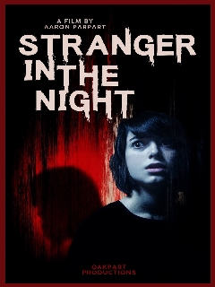 Постер: Stranger in the Night