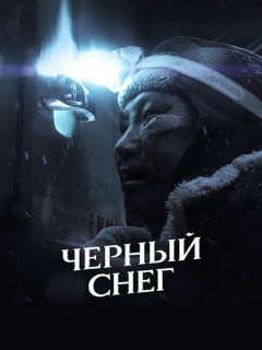 Постер: Черный снег