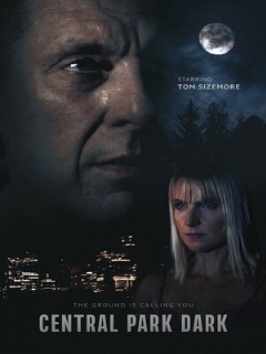 Постер: Central Park Dark