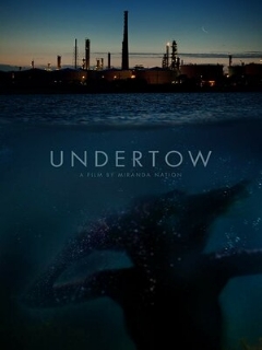 Постер: Undertow