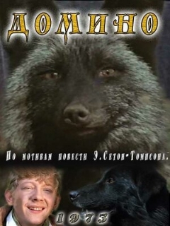 Постер: Домино