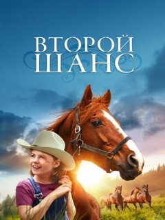 Постер: Второй шанс