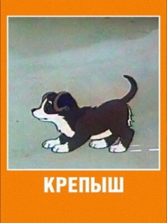Постер: Крепыш
