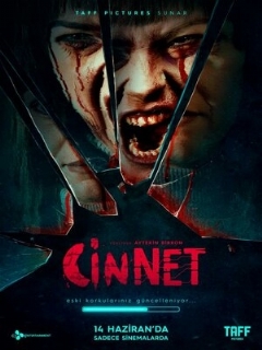 Постер: Джинн