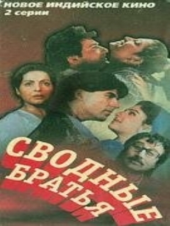 Постер: Сводные братья