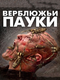 Постер: Верблюжьи пауки
